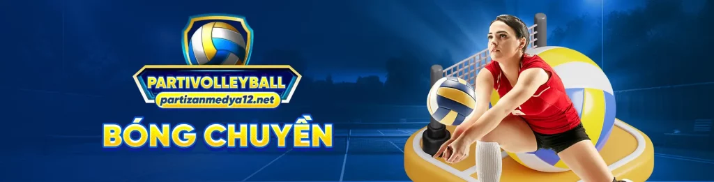 PartiVolleyball banner