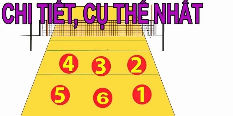 Ký hiệu vị trí bóng chuyền